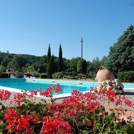 Fattoria Antognoni Villa Реджело Екстериор снимка