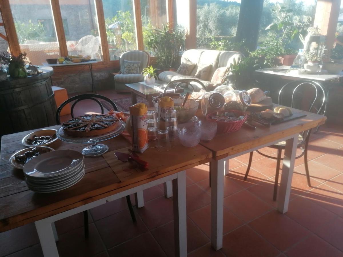 Fattoria Antognoni Villa Реджело Екстериор снимка