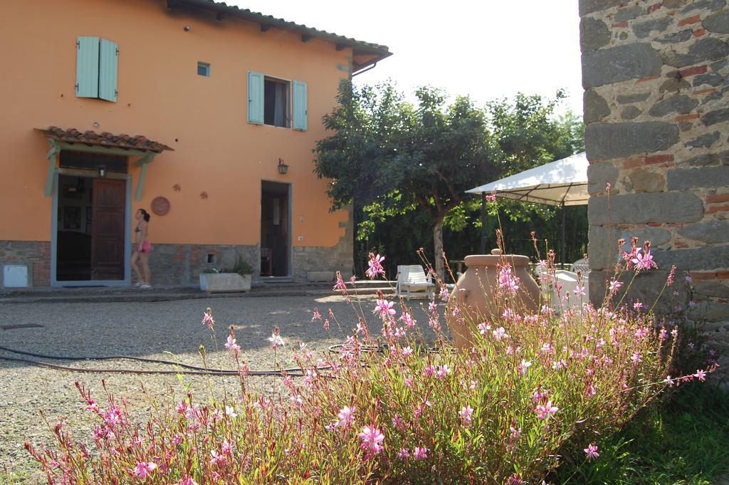 Fattoria Antognoni Villa Реджело Екстериор снимка