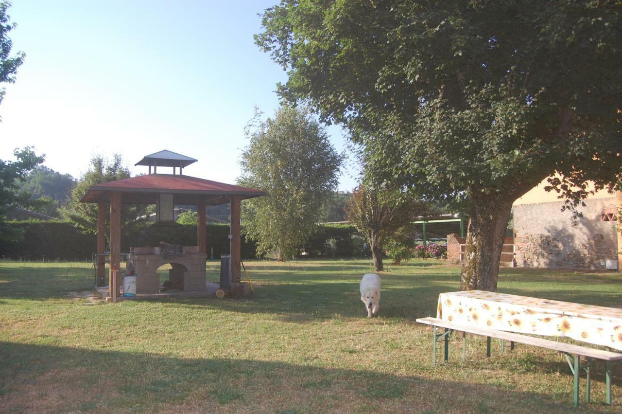 Fattoria Antognoni Villa Реджело Екстериор снимка
